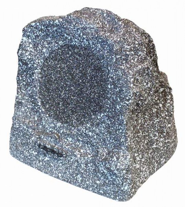 LEM5